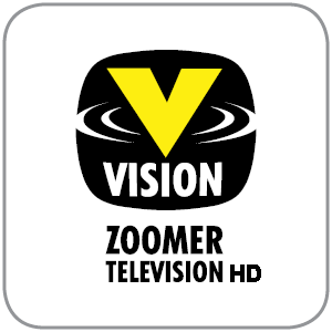 Vision tv channel logo